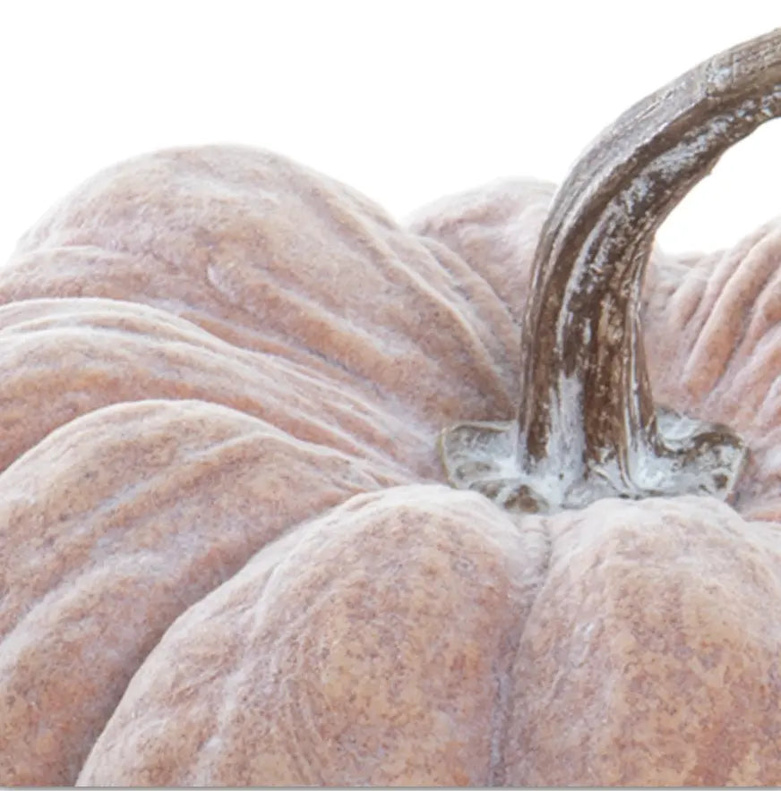 Home Smith Whitewashed Orange Heirloom Pumpkin Home Smith