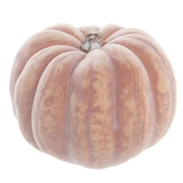 Home Smith Whitewashed Orange Small Heirloom Pumpkin Allstate Floral Seasonal Decor - Fall