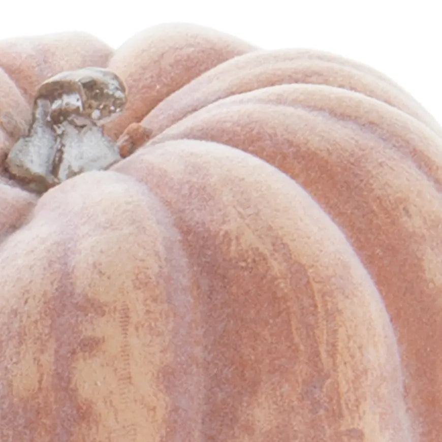 Home Smith Whitewashed Orange Small Heirloom Pumpkin Home Smith