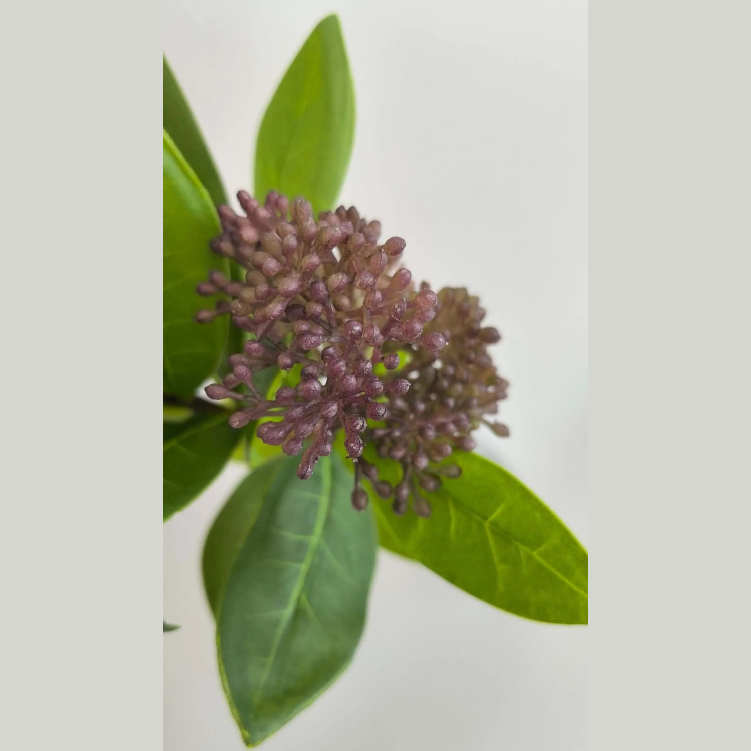 Artificial Viburnum Berry Branch in Plum
