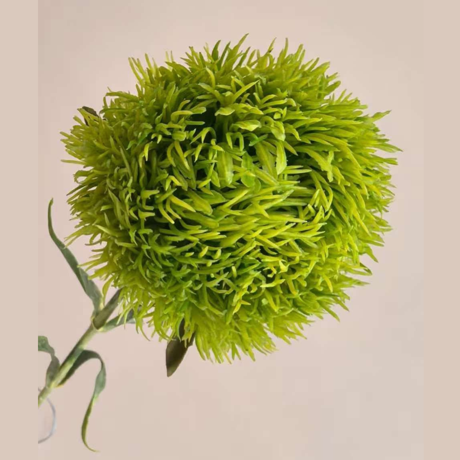 Artificial Dianthus Green Ball Stems
