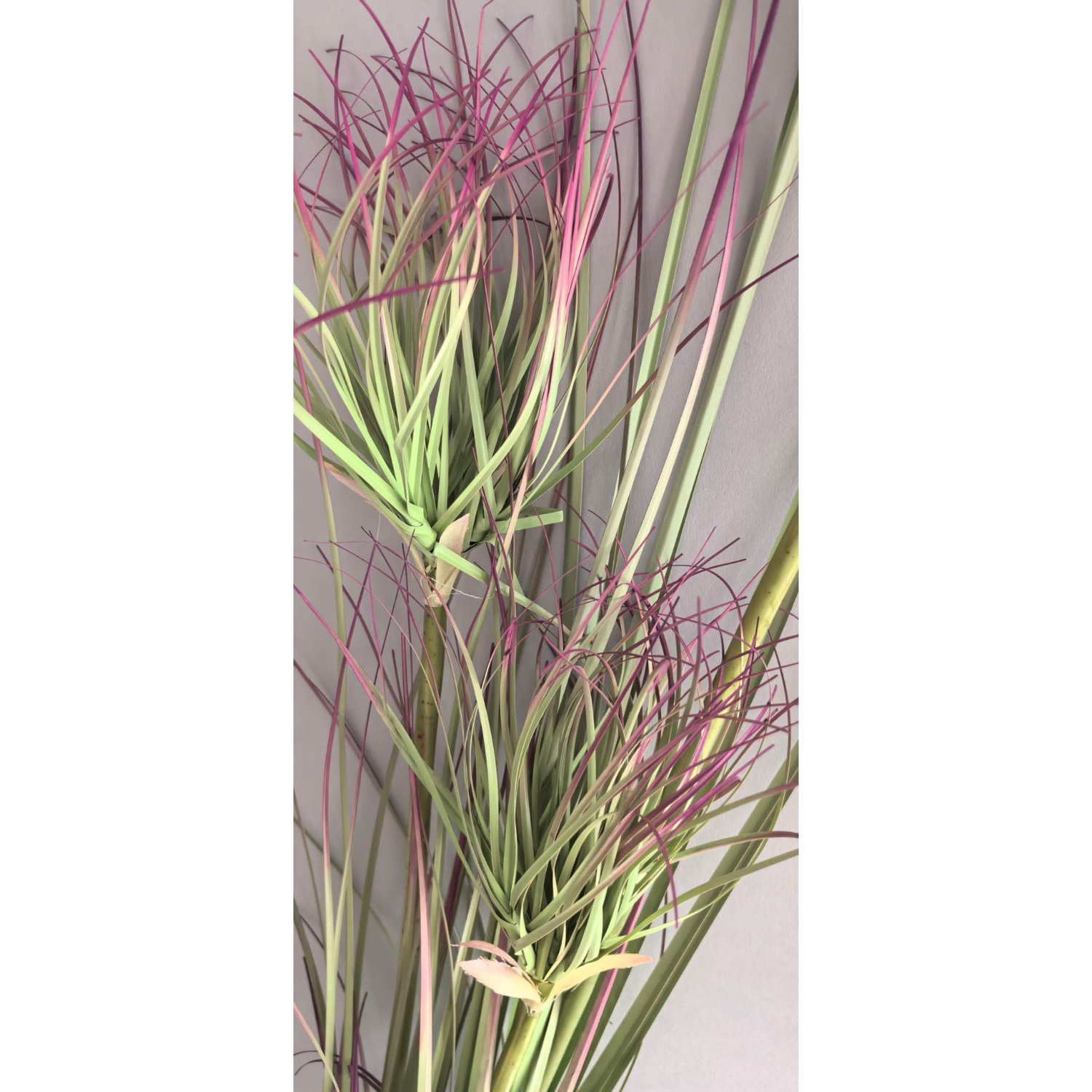 Artificial Cyperus Umbrella Grass Stems