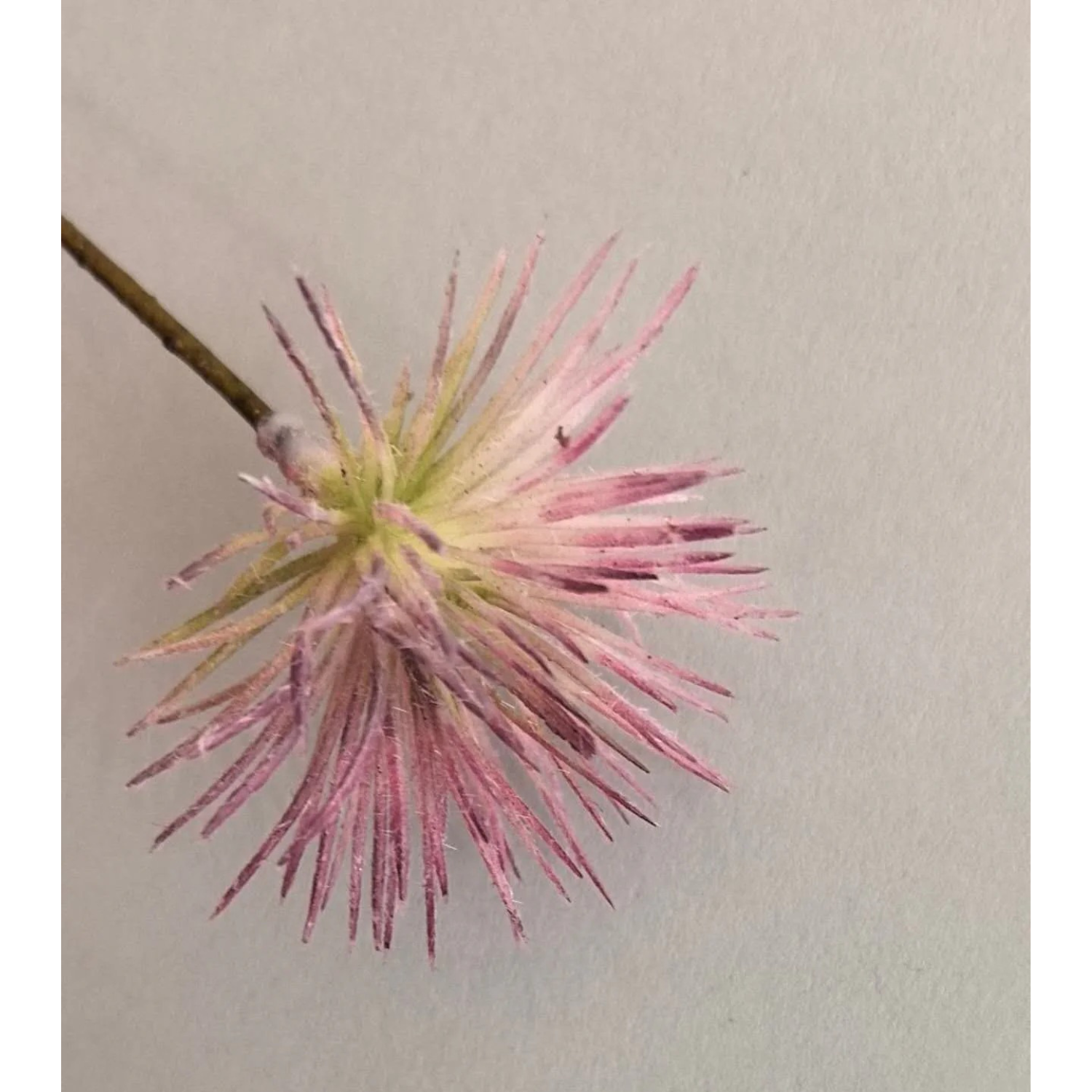 Artificial Albizzia Mimosa Tree Floral Stem in Mauve