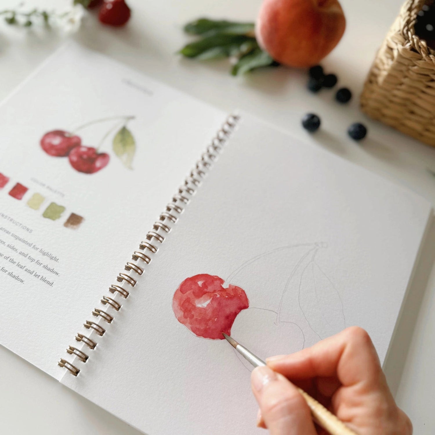 Watercolour workbook example of cherry illustration