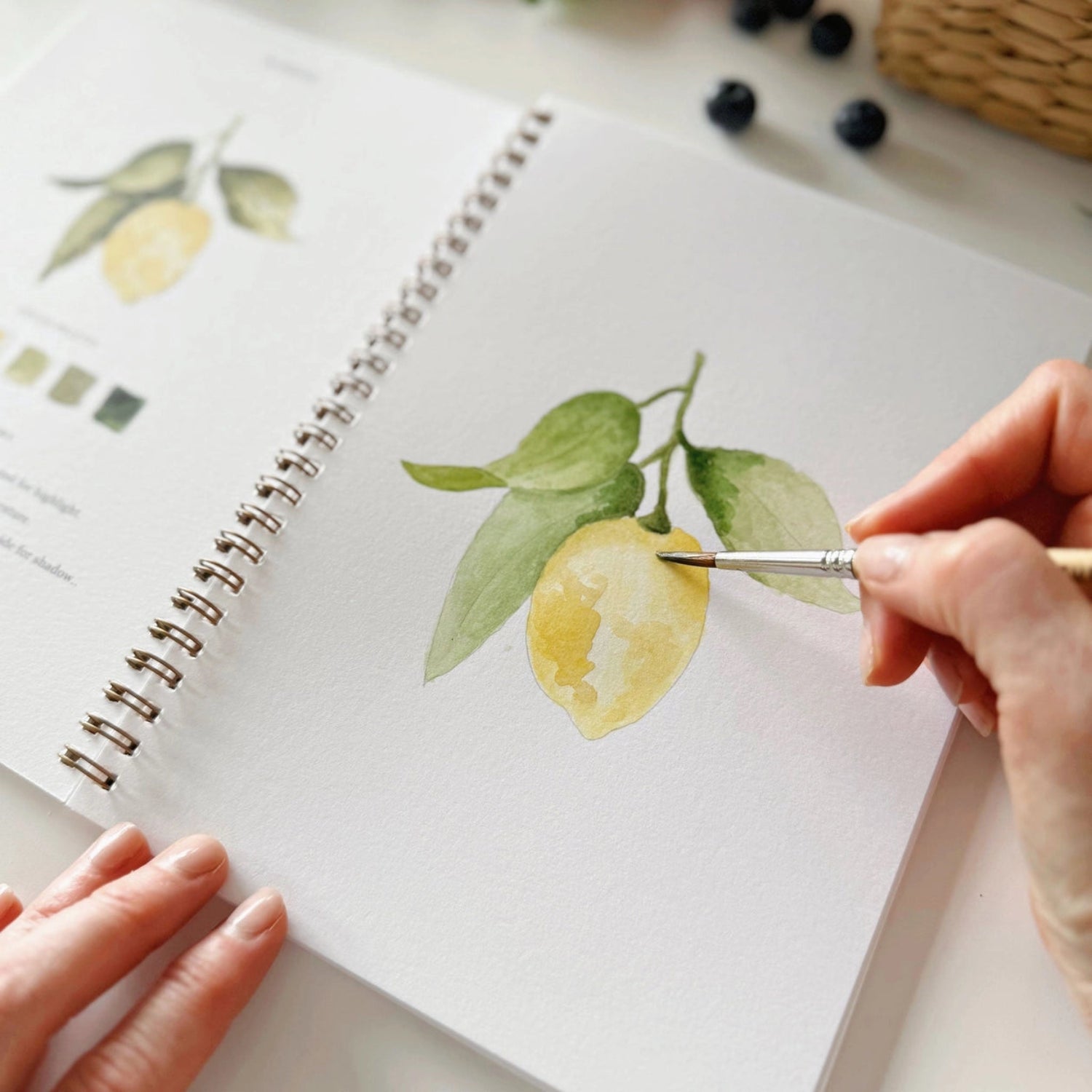 Detail of lemon illustration in watercolour workbook