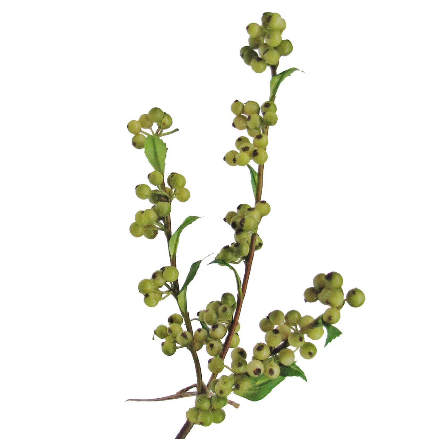 Artificial Green Berry Spray at Home Smith 