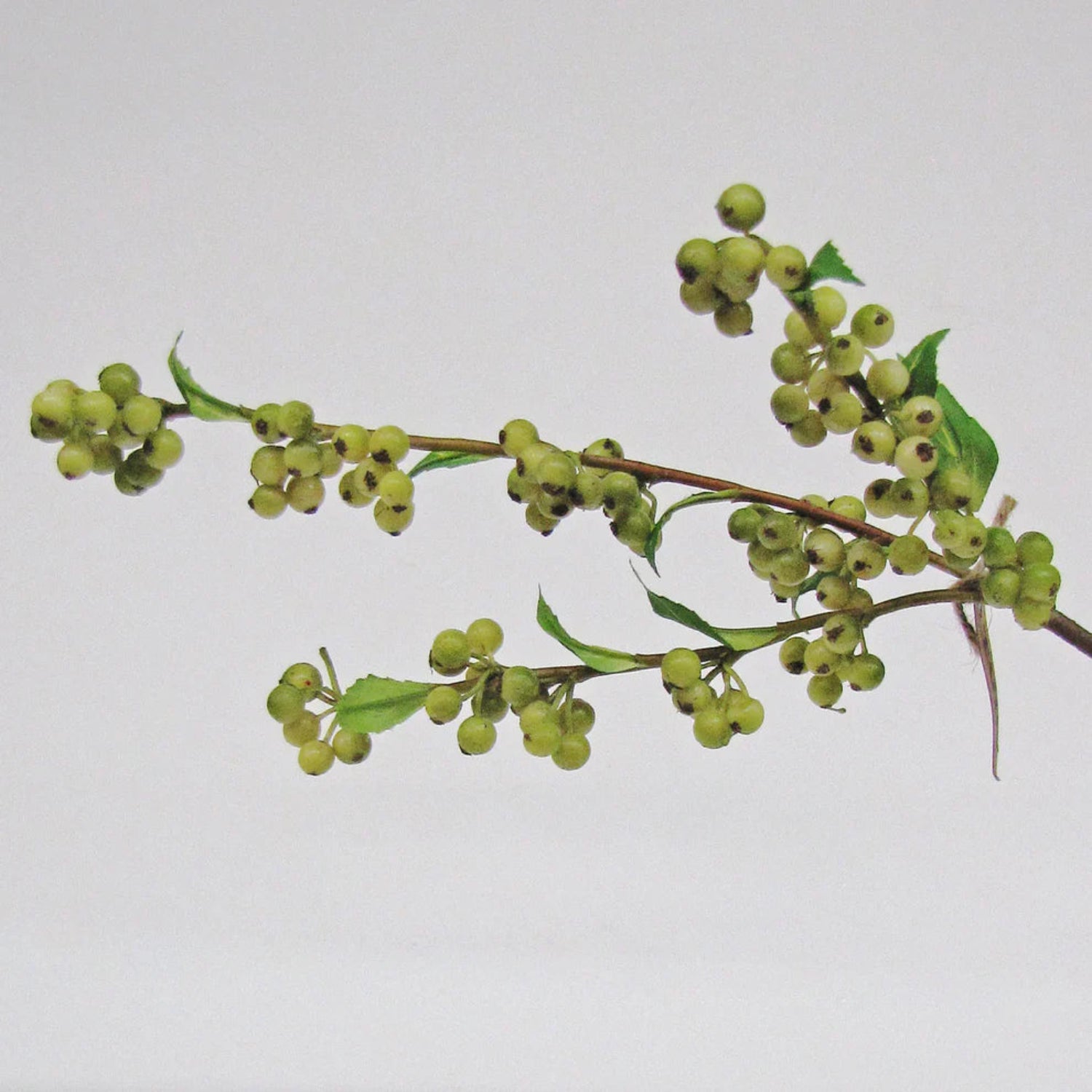 close up of artificial Green Berry Spray at Home Smith 