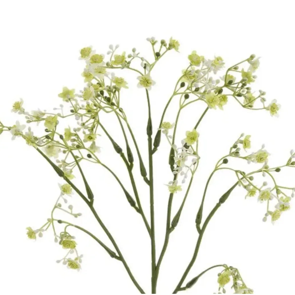 Baby's Breath Spray in Green 20" - Home Smith