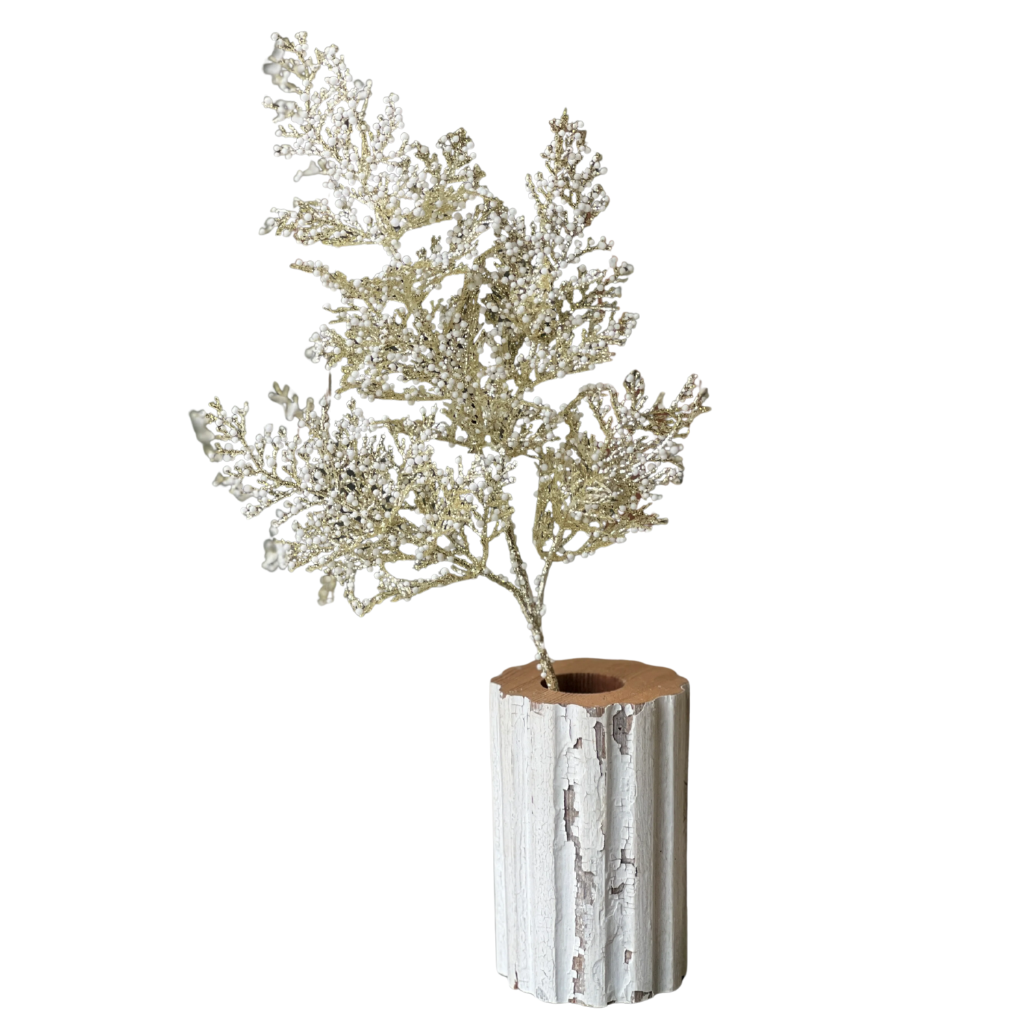 Bedazzle Berry Cypress Spray at Home Smith
