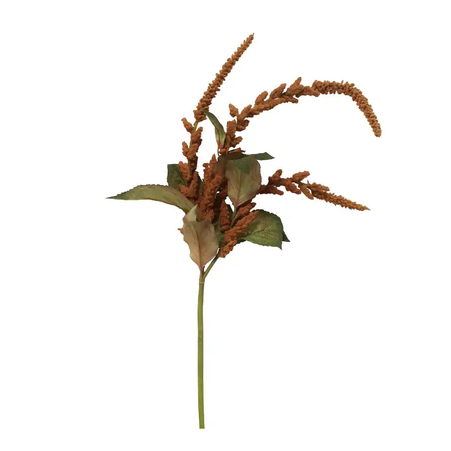 Home Smith Bronze Hanging Amaranthus Winward Stems, Blooms & Branches