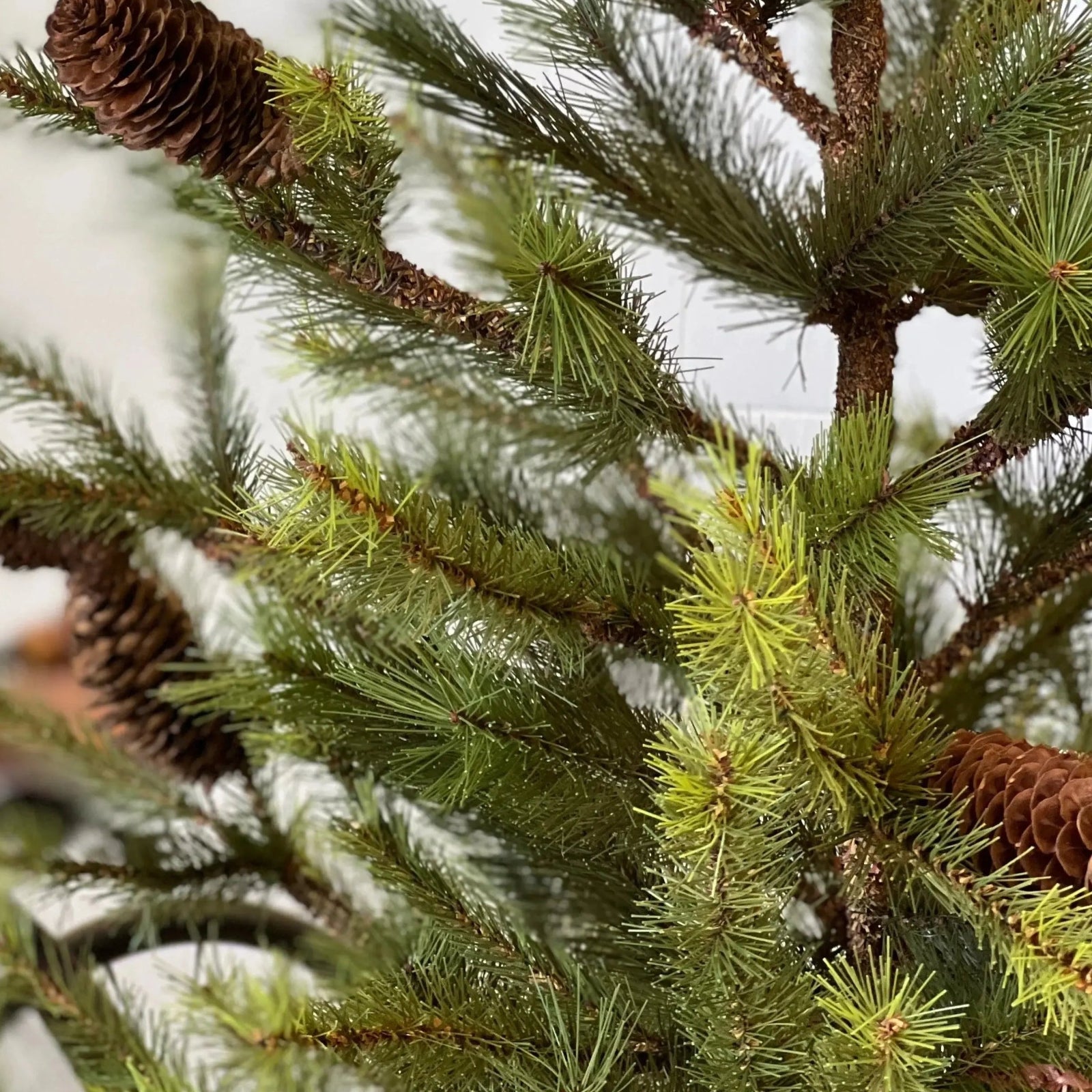 Home Smith Caribou Ridge Holiday Trees Lancaster Home Holiday Trees