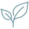 Simple line drawing of a leaf on a white background
