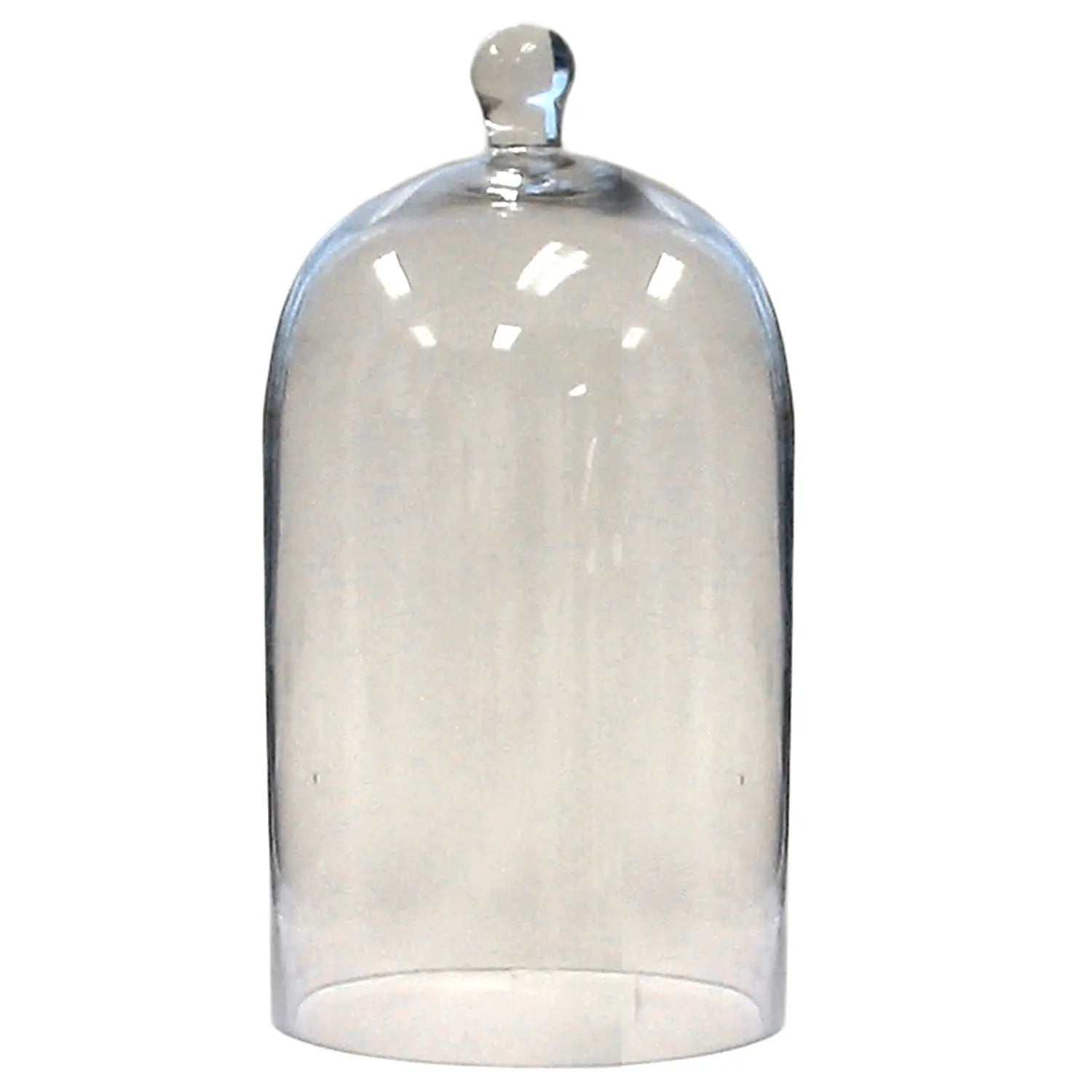 Clear Glass Dome - Home Smith