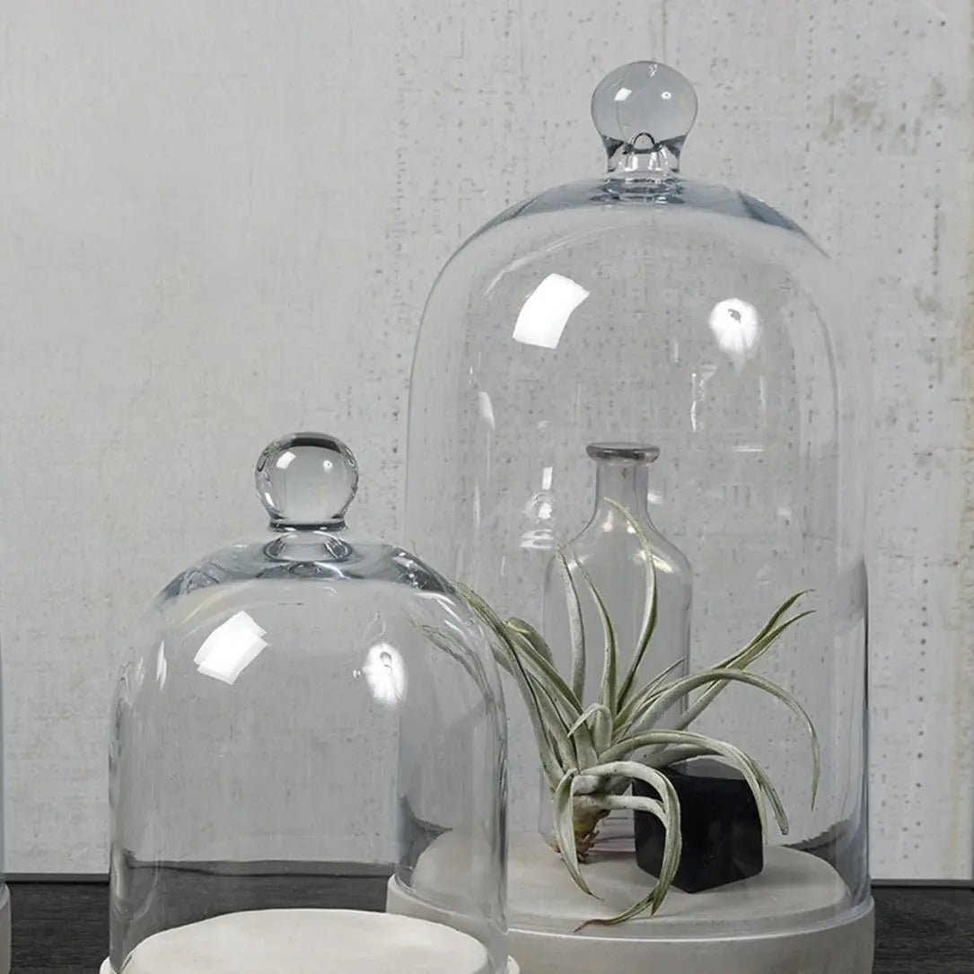 Clear Glass Dome - Home Smith