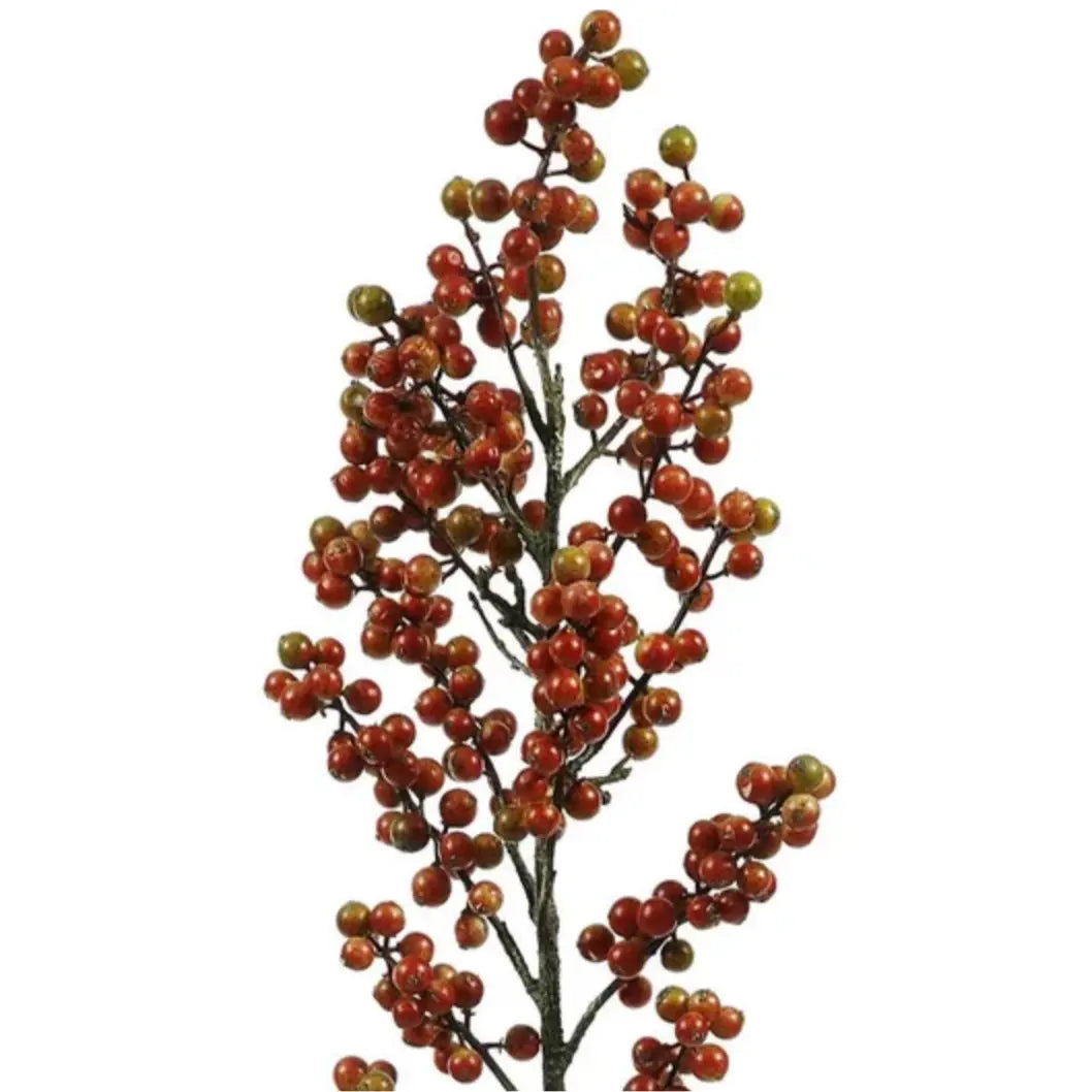Home Smith Deciduous Berry Branch Winward Stems, Blooms & Branches
