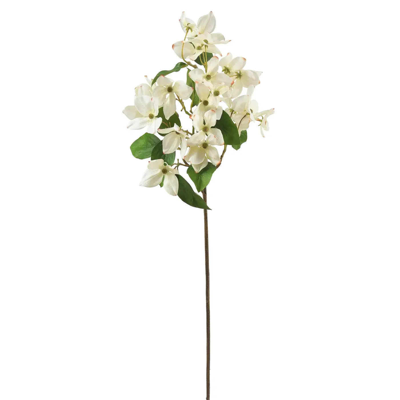 Dogwood Branches 28" in Creamy White - Home Smith