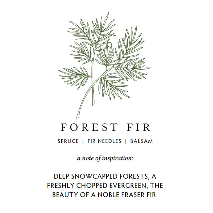 Linnea Forest Fir Scented Candle Scent Notes and Inspiration at Home Smith 