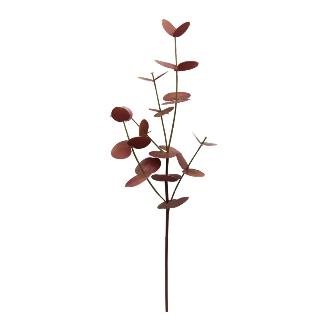 Floral Stems – Tagged branch – House by JSD