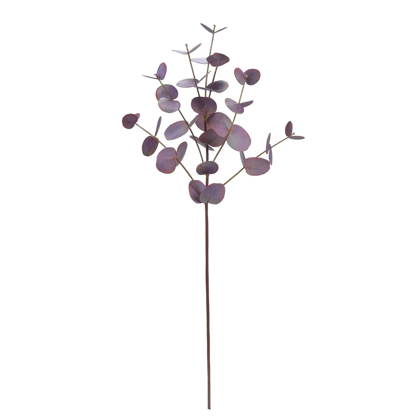 Eucalyptus Stem 30" in Burgundy - Home Smith