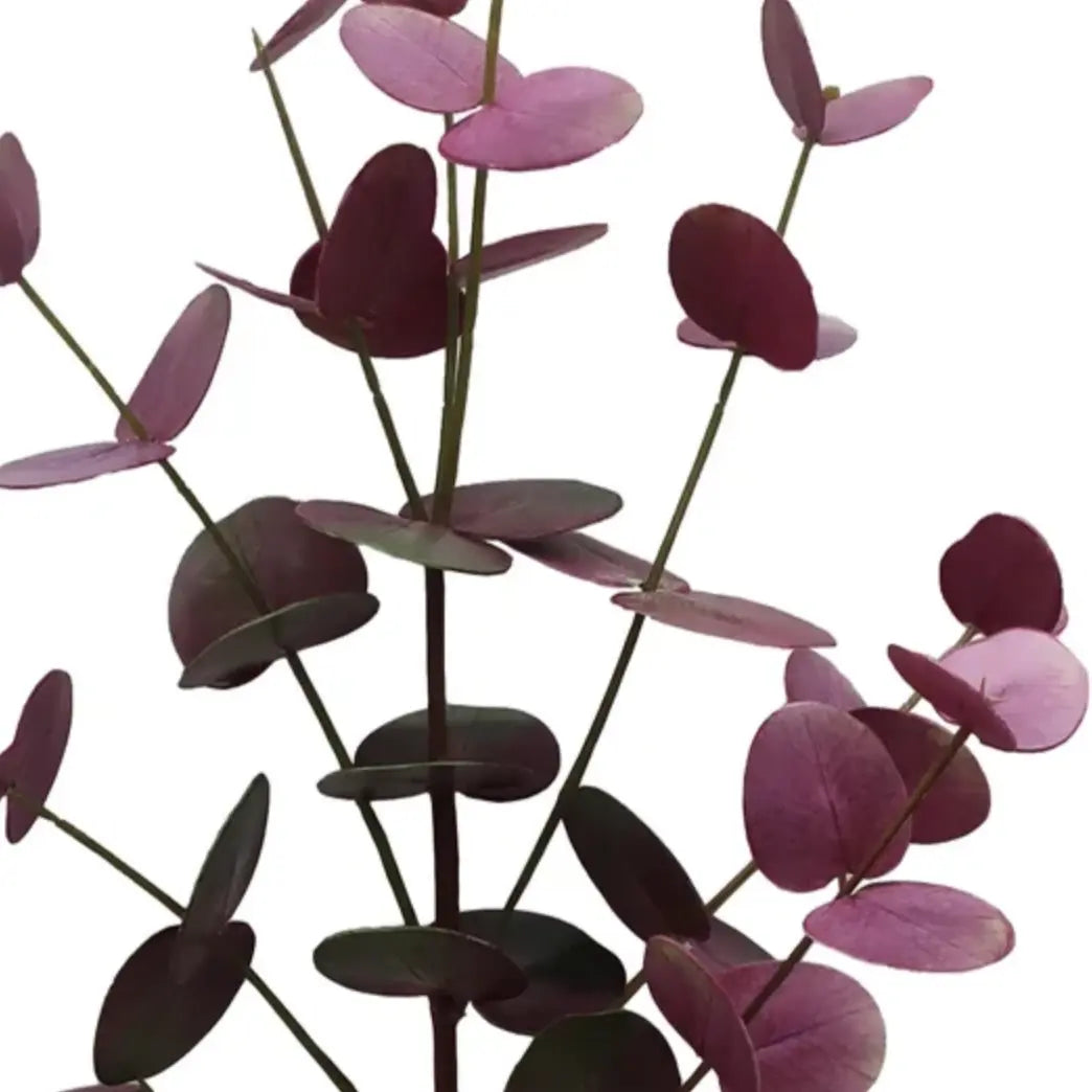 Eucalyptus Stem 33.5" in Dark Burgundy - Home Smith