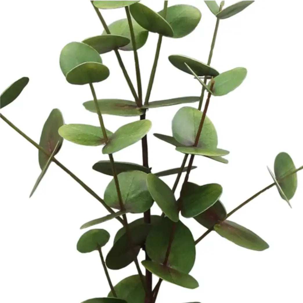 Eucalyptus Stem 33.5" in Light Green Burgundy - Home Smith