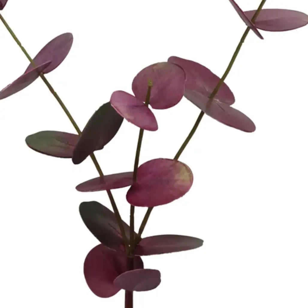 Home Smith Eucalyptus Stems in Deep Burgundy Winward Stems, Blooms & Branches