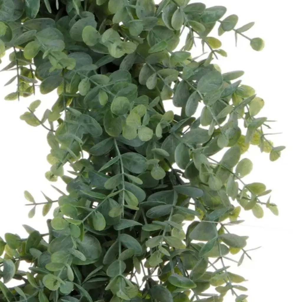 Eucalyptus Wreath - Home Smith