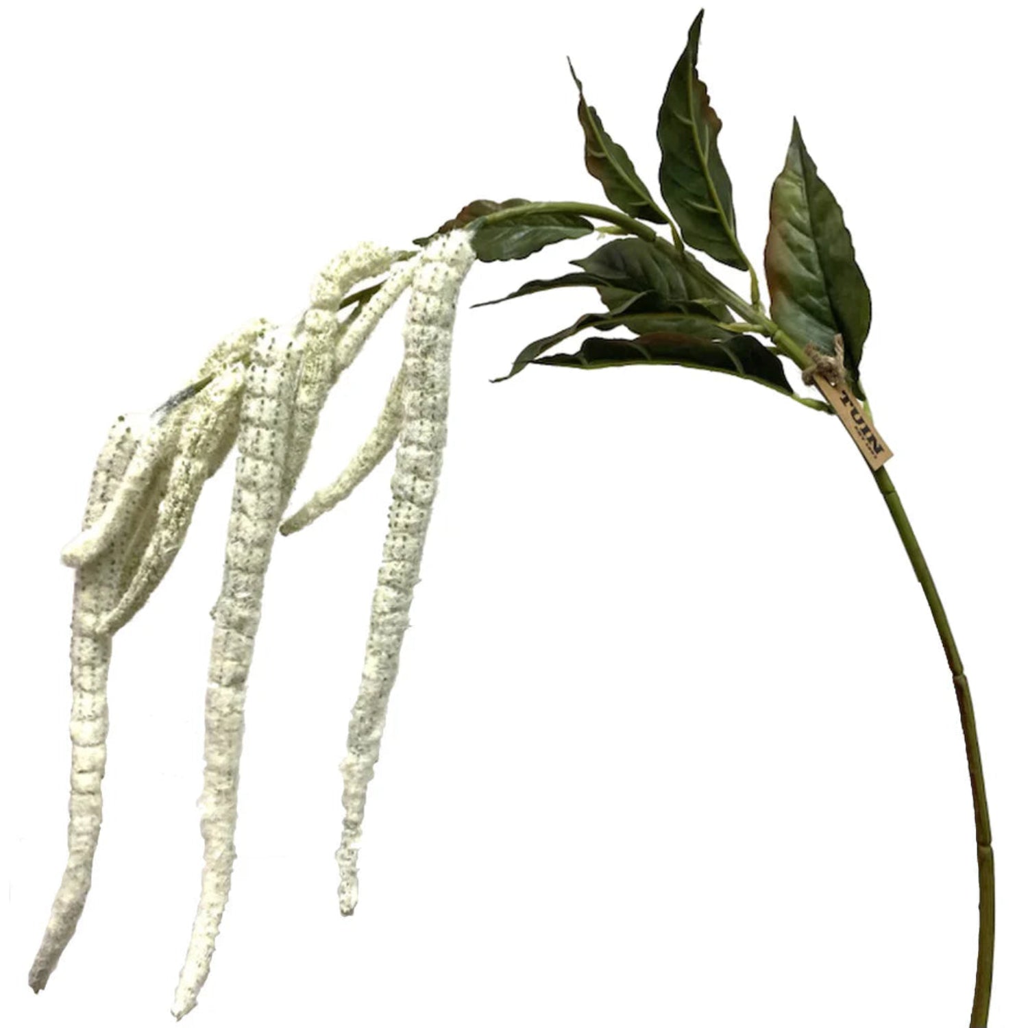 Artificial plant with white and green leaves on a white background