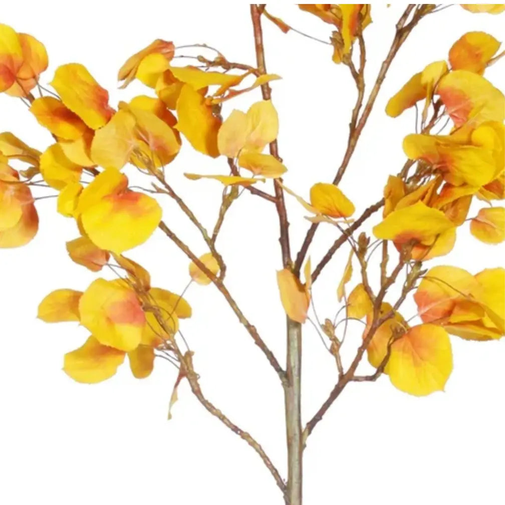 Home Smith Fall Yellow Aspen Branch Winward Stems, Blooms & Branches