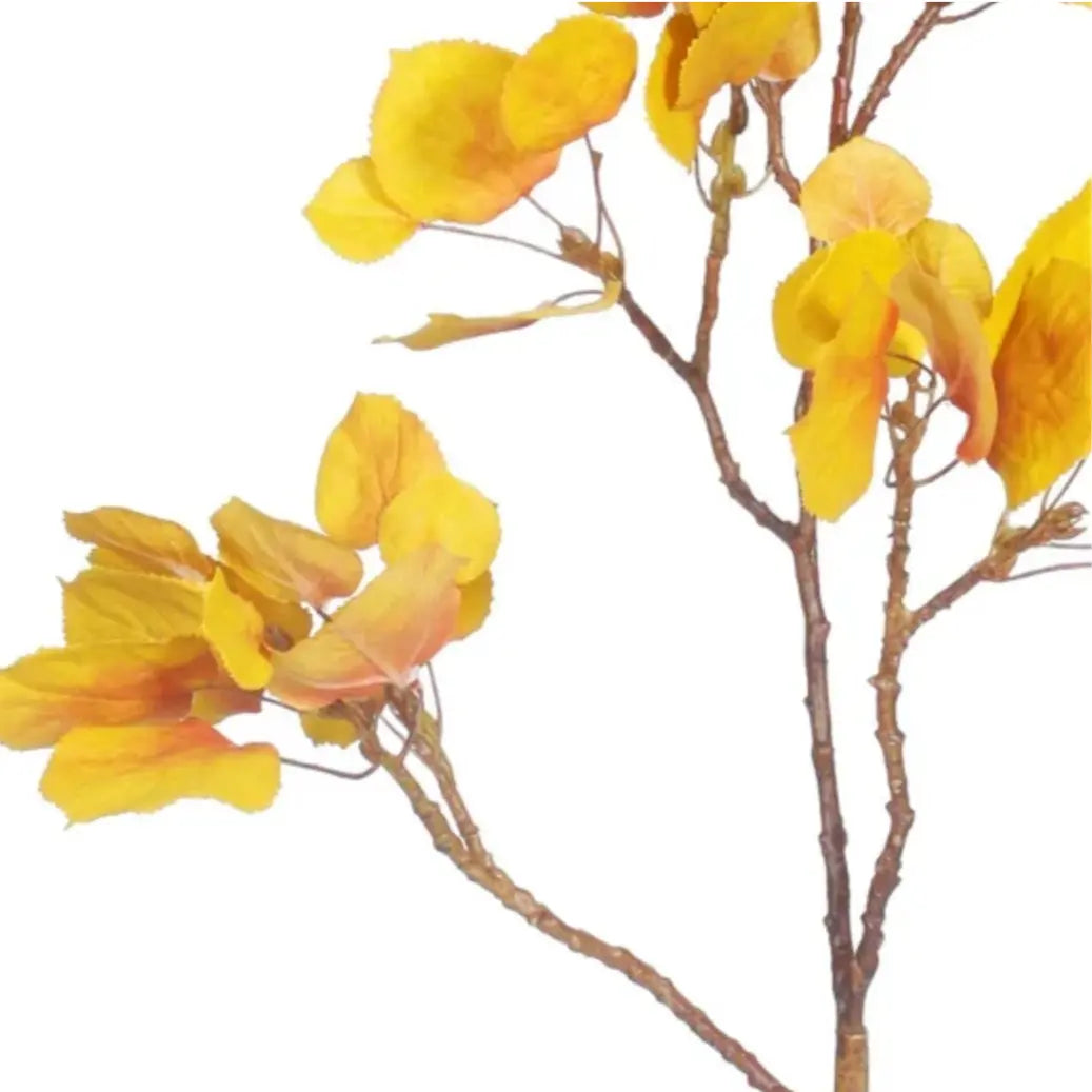 Home Smith Fall Yellow Aspen Pick Winward Stems, Blooms & Branches