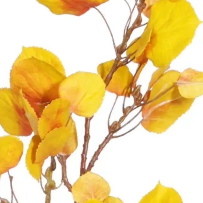 Home Smith Fall Yellow Aspen Pick Winward Stems, Blooms & Branches