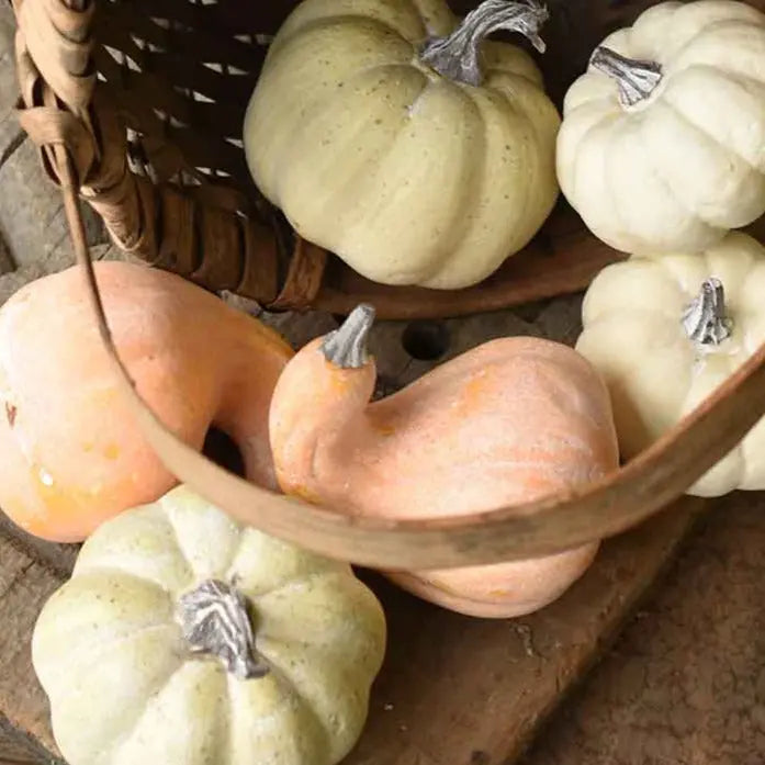 Home Smith Fall's Folly Mini Pumpkins Lancaster Home Seasonal Decor - Fall