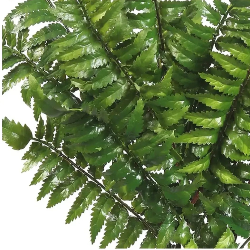 Home Smith Fern Leaf Bunch Winward Stems, Blooms & Branches