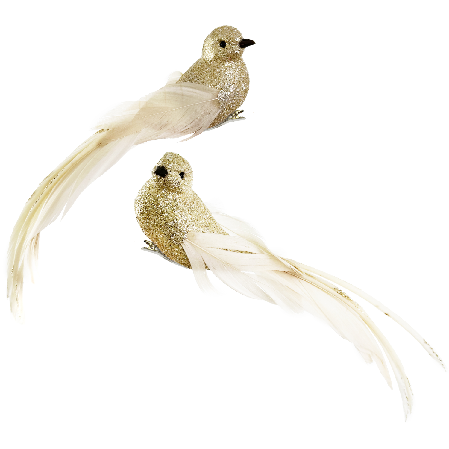 Glitter Feather Bird in Cream at Home Smith