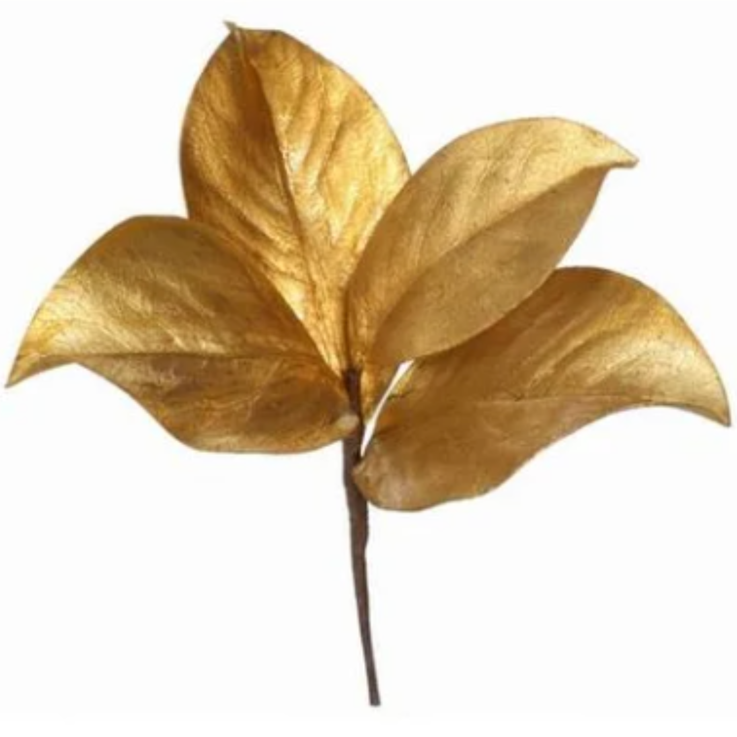 Gold Magnolia Leaf Pic at Home Smith