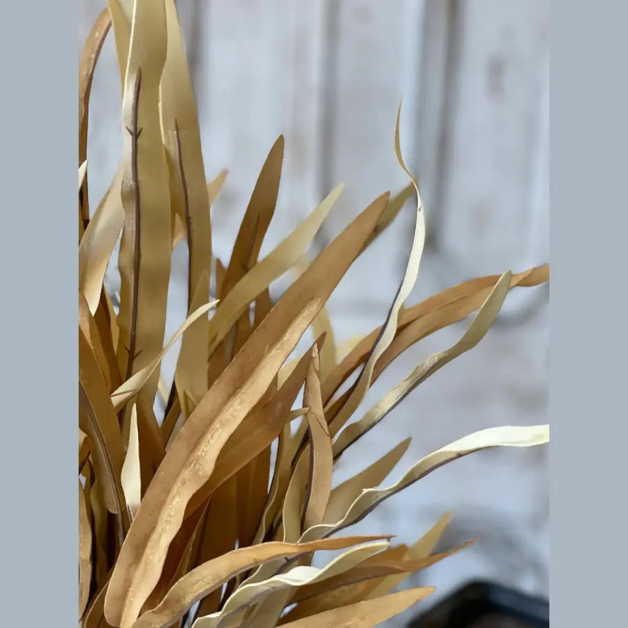 Home Smith Golden Isles Stems Lancaster Home Stems, Blooms & Branches