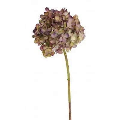 Hydrangea Stem - Eggplant - Home Smith