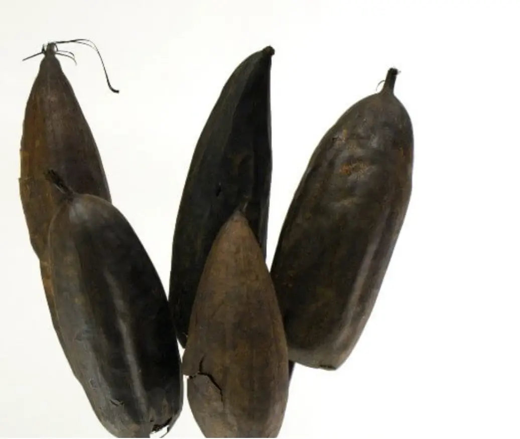 Home Smith Jhinga Pods Botanico Seasonal Decor - Fall