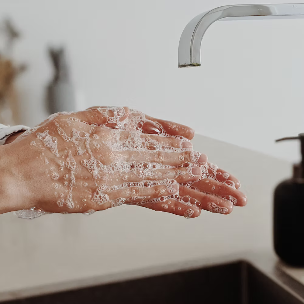 Luxe Lather All Natural Lavender from Hereward Farms Infused Liquid Hand Soap at Home Smith