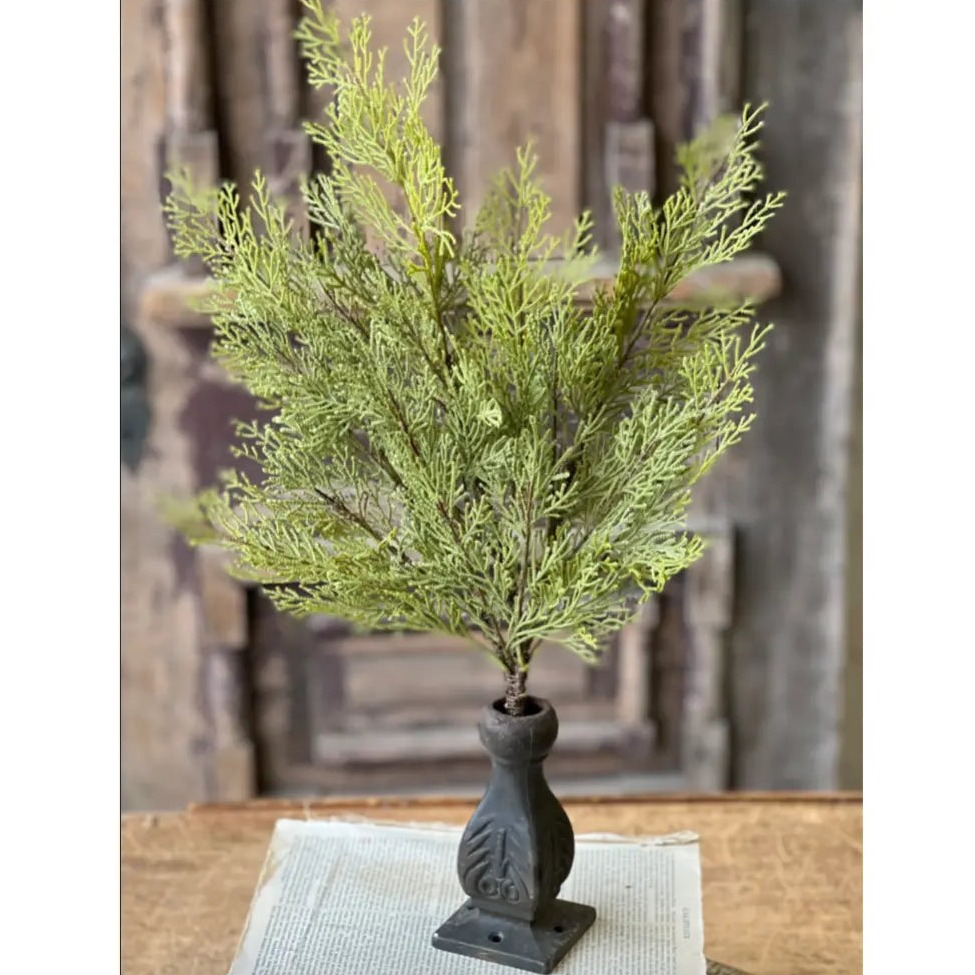 Home Smith Magnificent Cedar Bush Lancaster Home Holiday Greenery