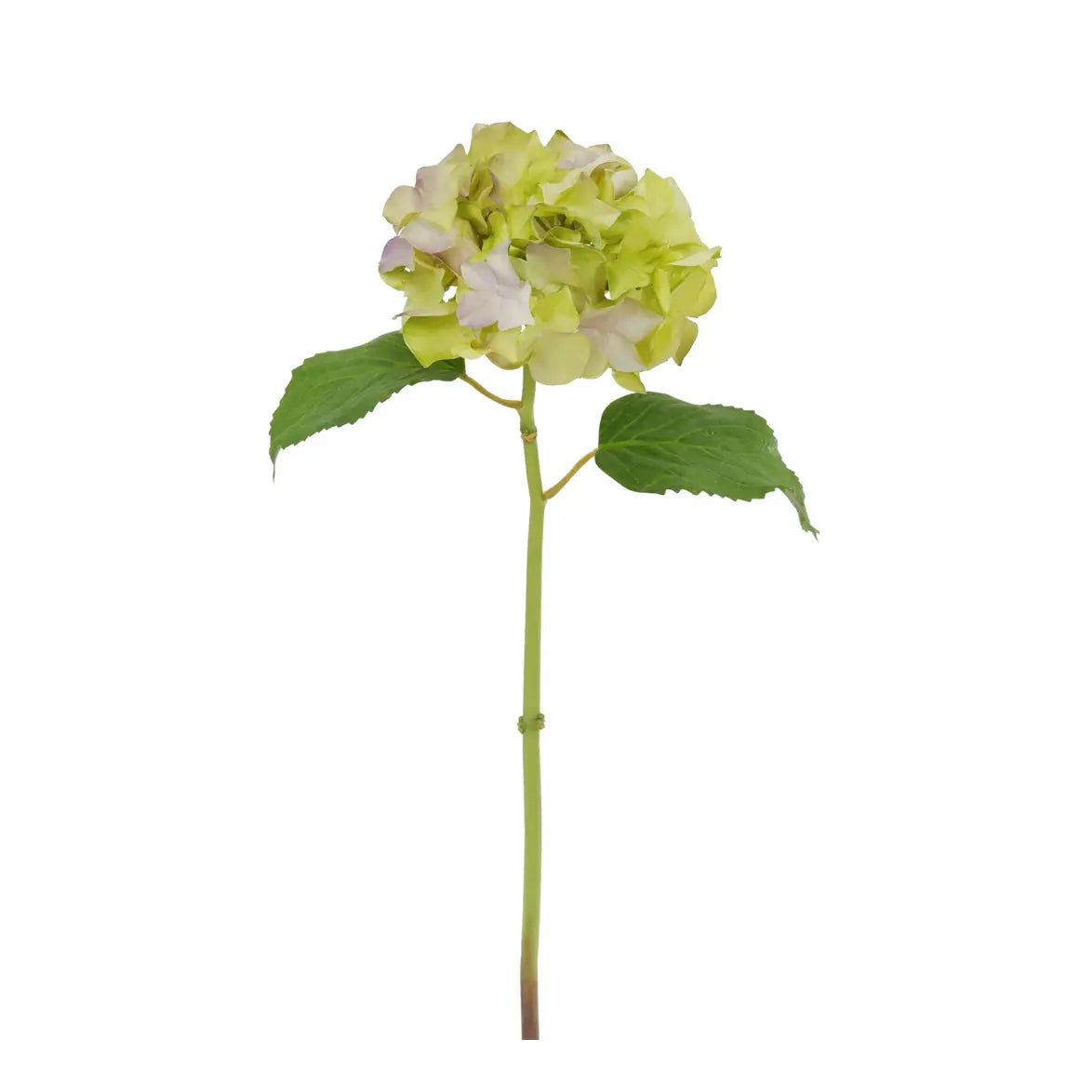 Natural Touch Hydrangea Stem - Lavender Green 18.5" - Home Smith