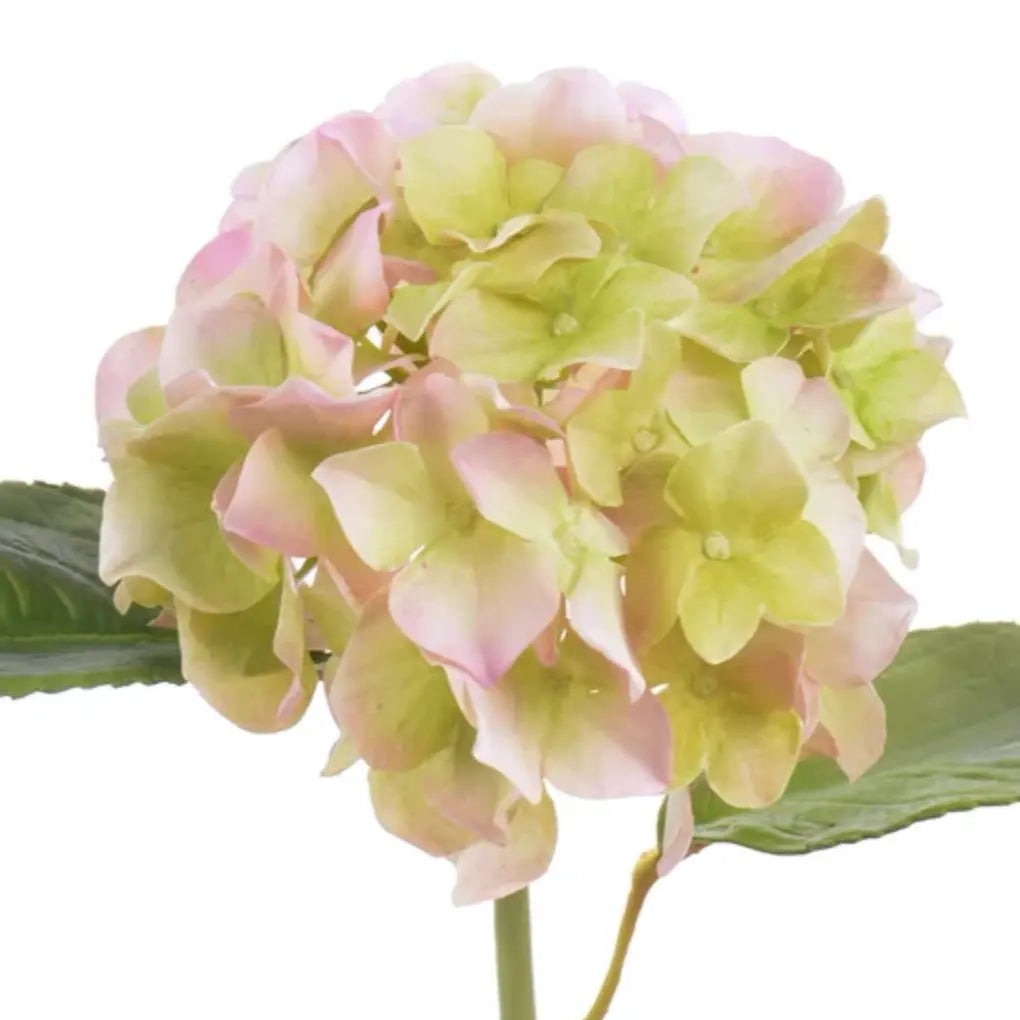 Natural Touch Hydrangea Stem - Lavender Green 18.5" - Home Smith
