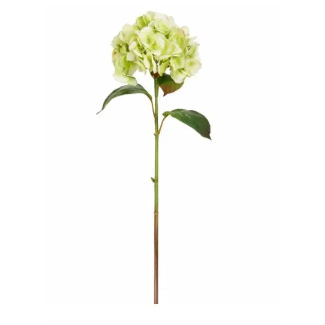Natural Touch Hydrangea Stem - Light Green - Home Smith
