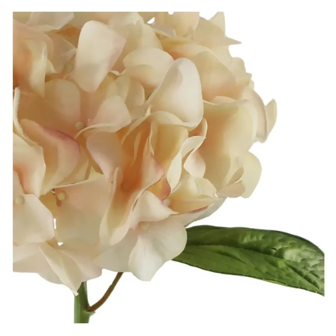 Natural Touch Hydrangea Stem - Linen Cream 20" - Home Smith