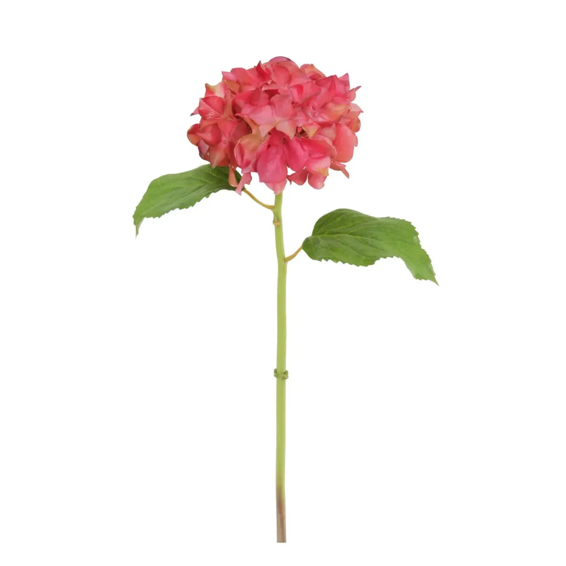 Natural Touch Hydrangea Stem - Mauve Pink 18.5" - Home Smith