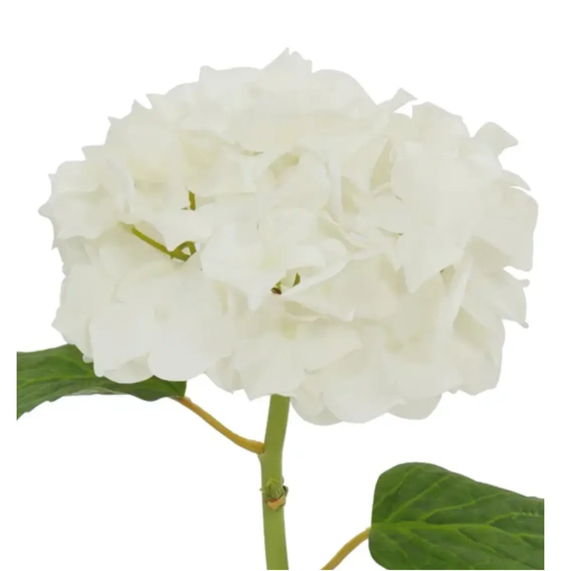 Natural Touch Hydrangea Stem - White 18.5" - Home Smith