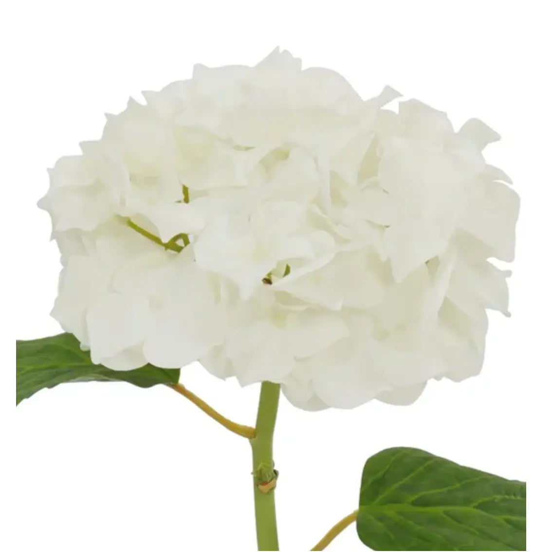 Natural Touch Hydrangea Stem - White 18.5