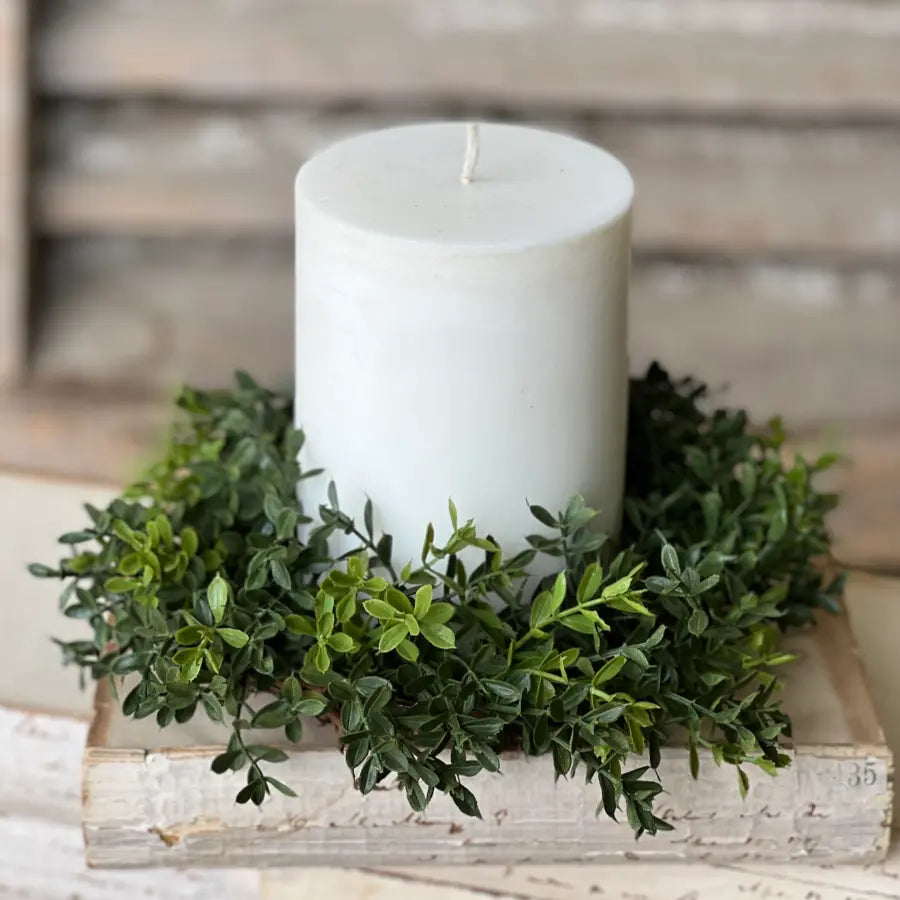 New England 10" Boxwood Mini Wreath | Candle Ring - Home Smith