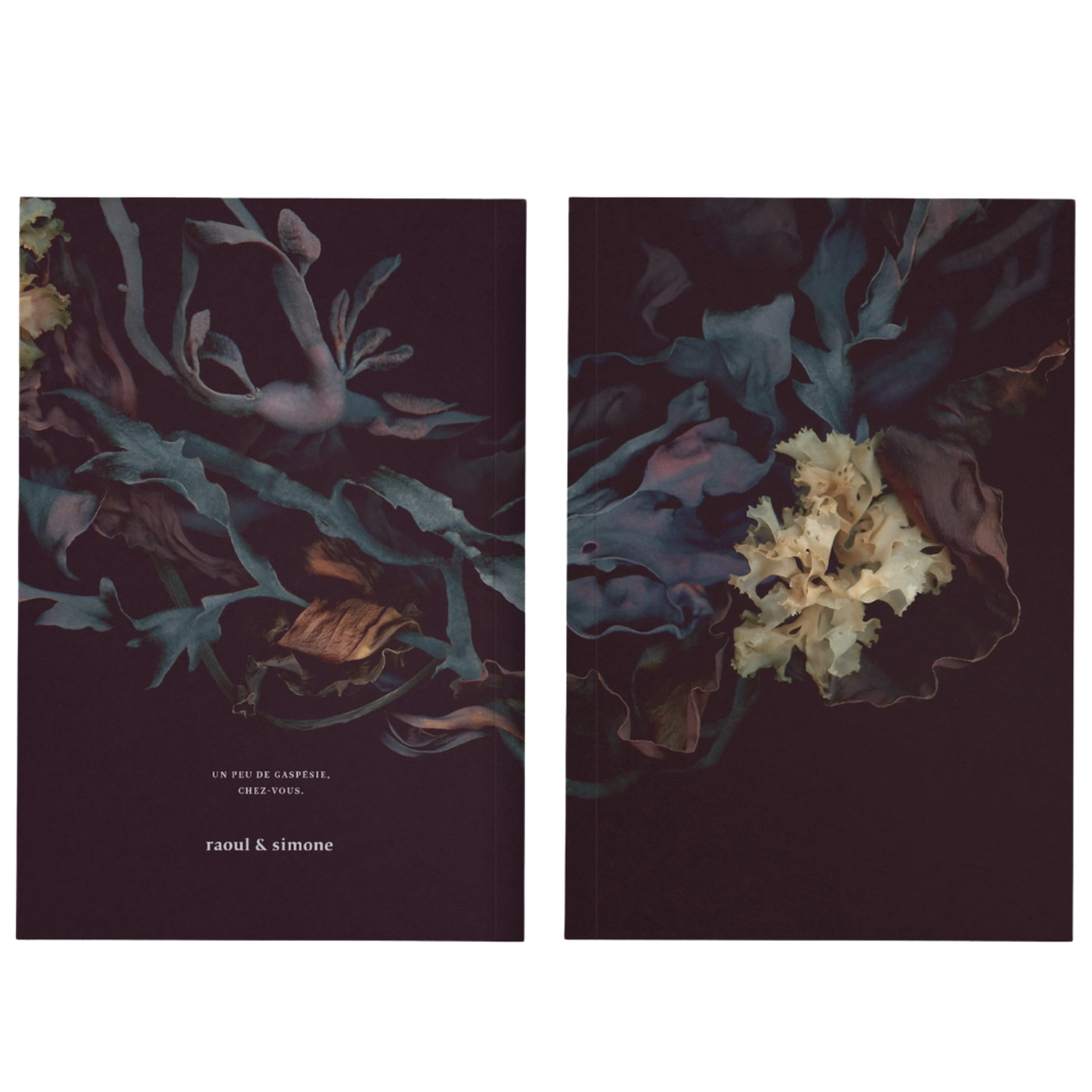 Front and Back Cover of Notebook Crown of St Lawrence at Home Smith