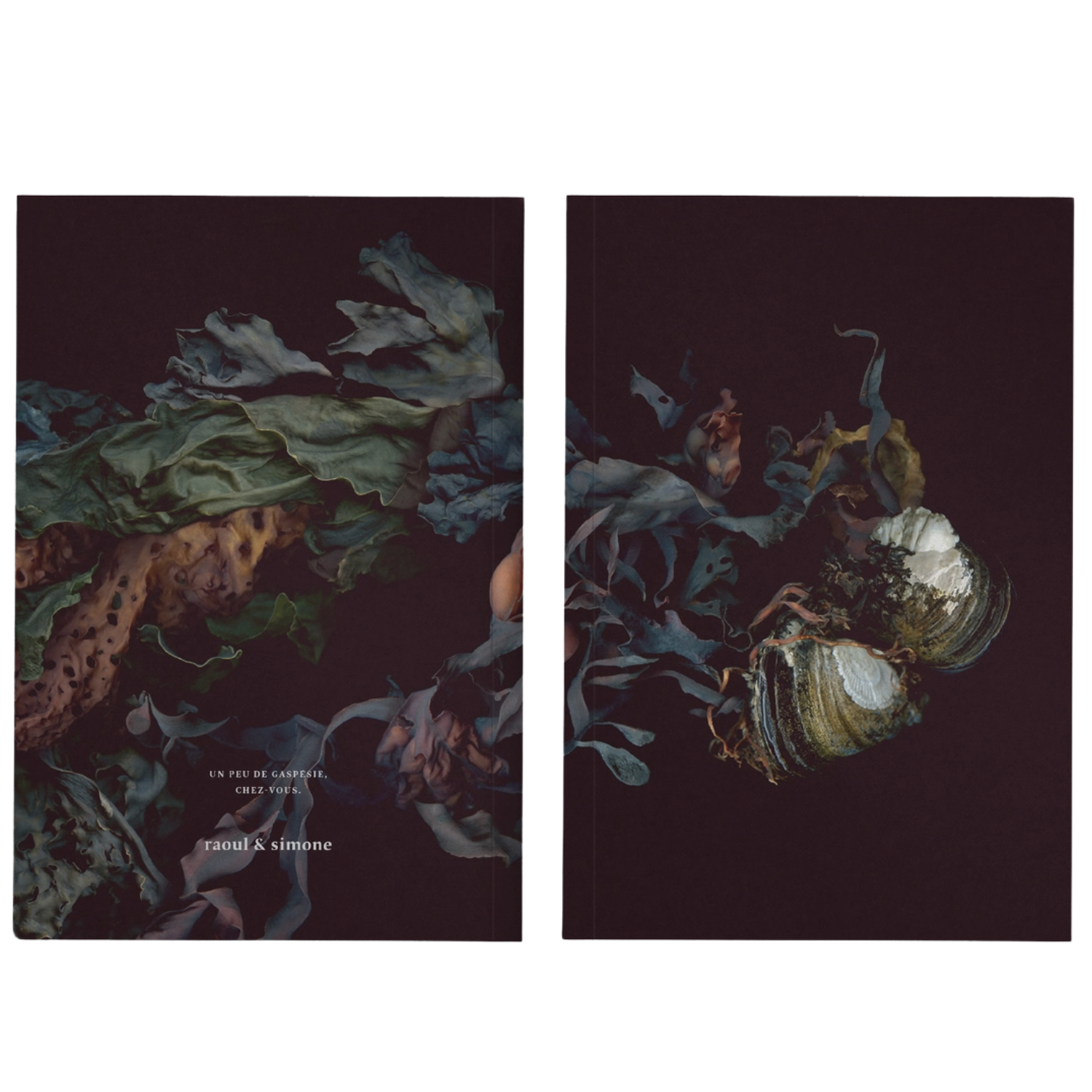 The Front and Back Cover of The Twins of the Cove Notebook at Home Smith